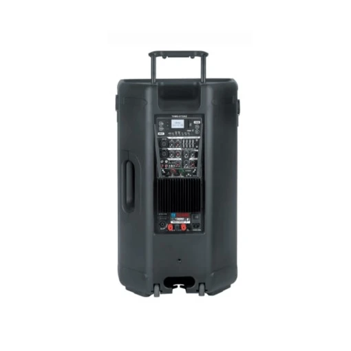 Tecsonic TSMS-5115A2 Professional 15″ Active Speaker - image 2