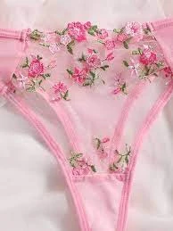 Pornostar Transparent Lingerie Set - image 3