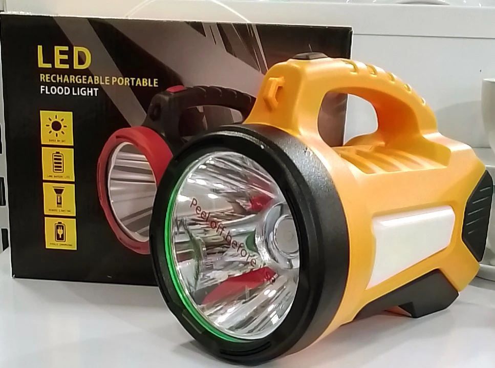 Generic D 30 LED Flood Light