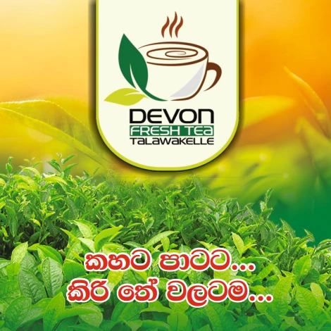 DEVON Fresh Tea Premium Black Strong Tea - image 4