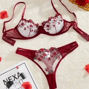 Pornostar Transparent Lingerie Set
