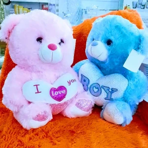 Generic Soft Teddy Bear