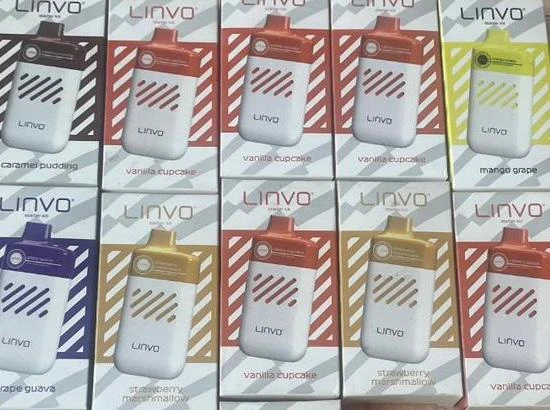 Linvo Vape - 6000Puff