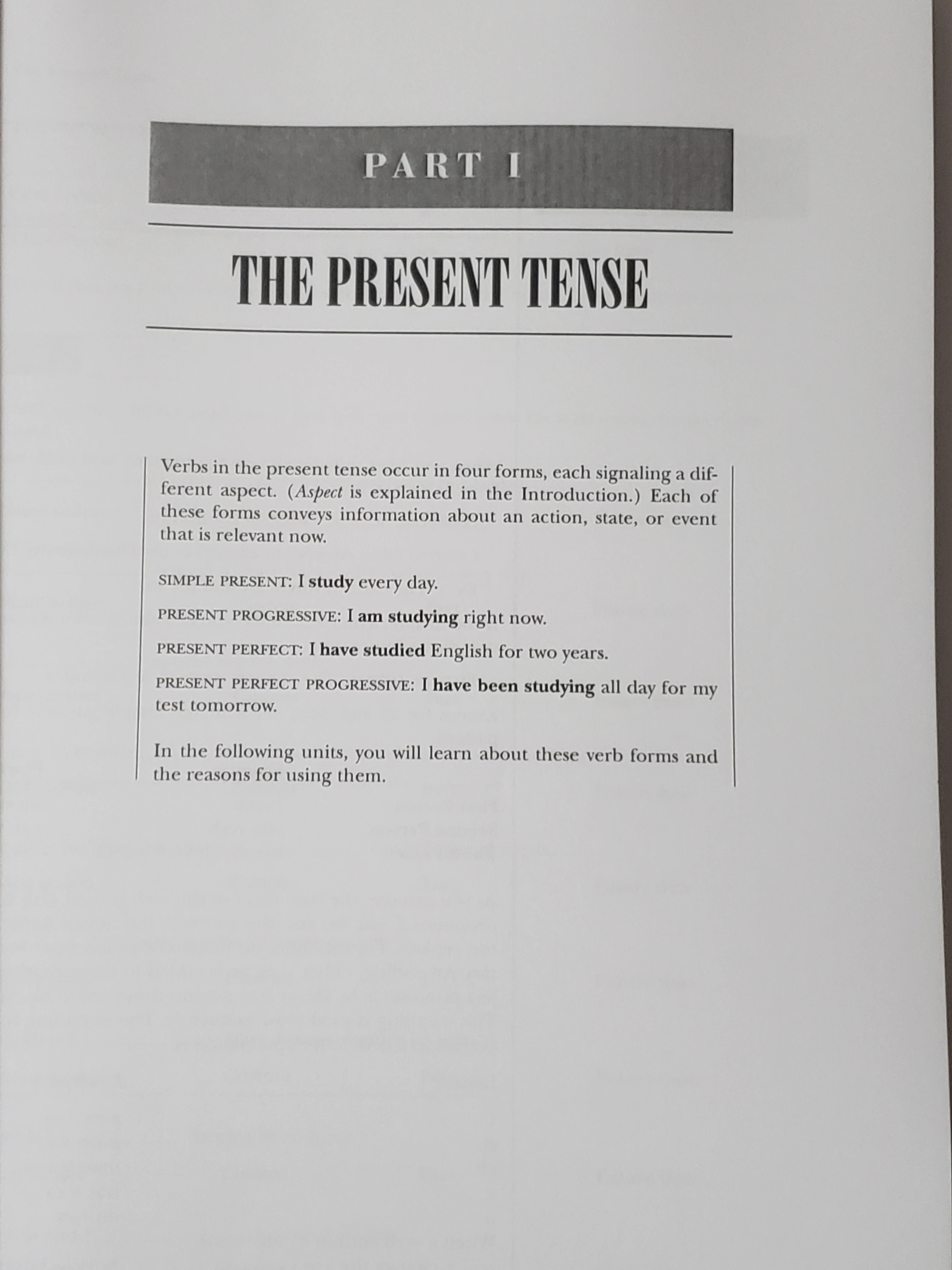 Practice Makes Perfect Verbs Book - image 5