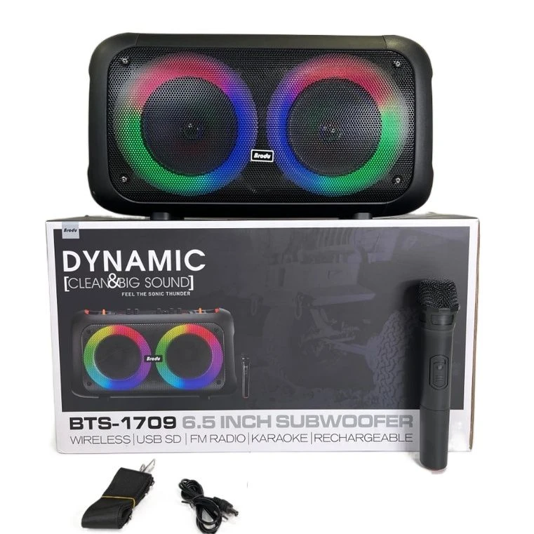 BRODU BTS-1709 Bluetooth Karaoke Speaker - image 3