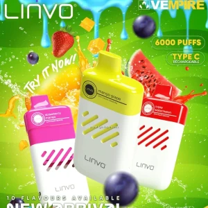 Linvo Mango Grape Shisha Pen Disposable Vape 6000 Puff