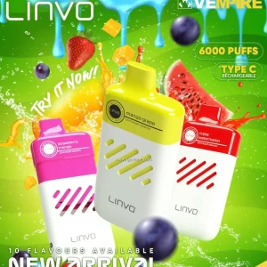 Linvo Strawberry Shisha Pen Disposable Vape 6000 Puff