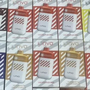 elfbar elfa kaufen Linvo Touch 6000 Puffs Disposable Vape Kit main image 0
