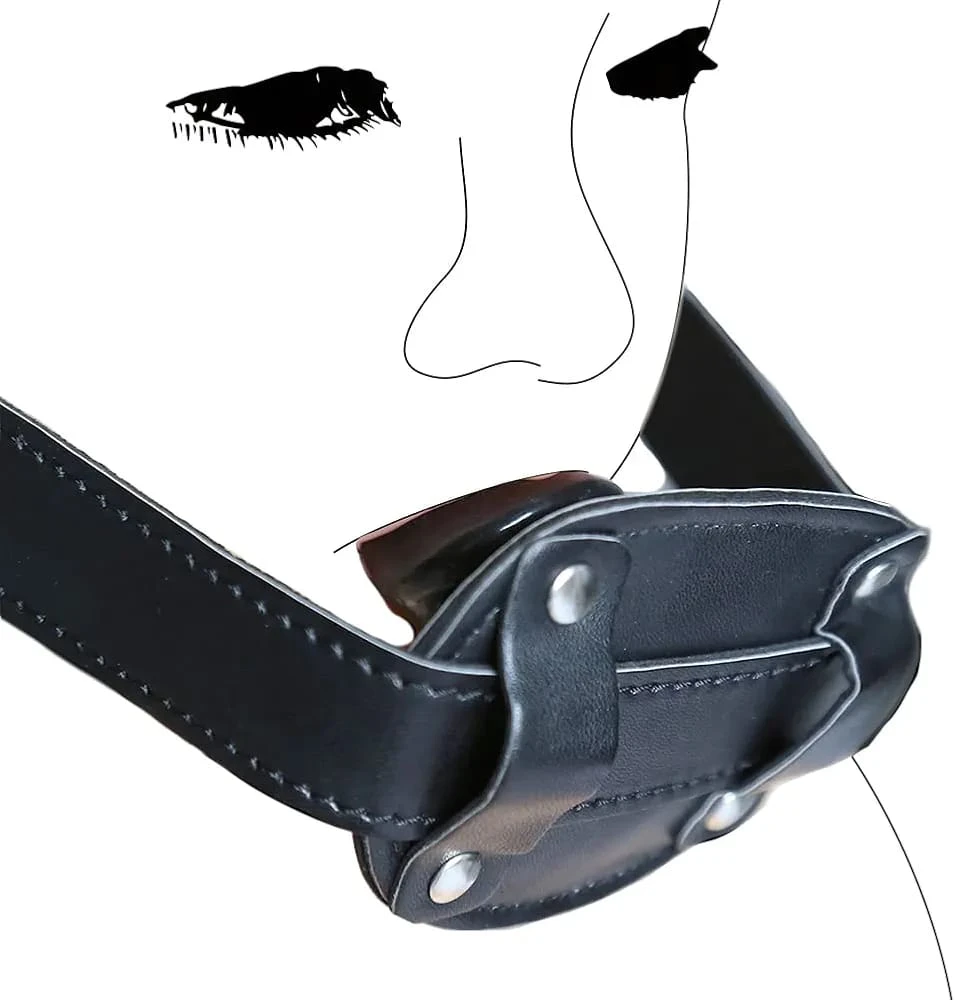 BDSM Bondage dildo Mouth gag Strap on dildo sex toy - image 10