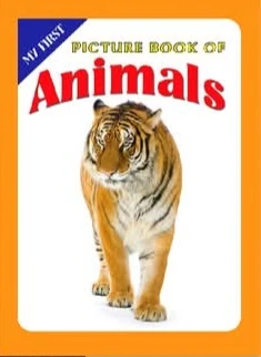 Generic Picture Books Series 8 Books Set - image 5