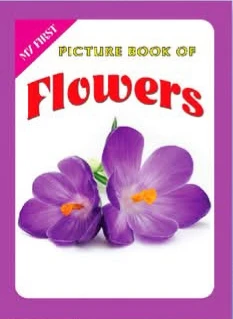 Generic Picture Books Series 8 Books Set - image 10