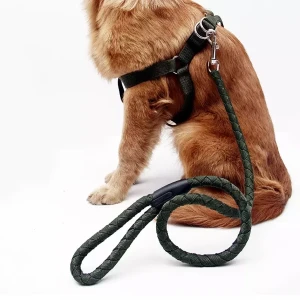Generic Adjustable Dog Harness Nylon Leash