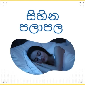 Generic Sihina Palapala PDF Dream Interpretations Book