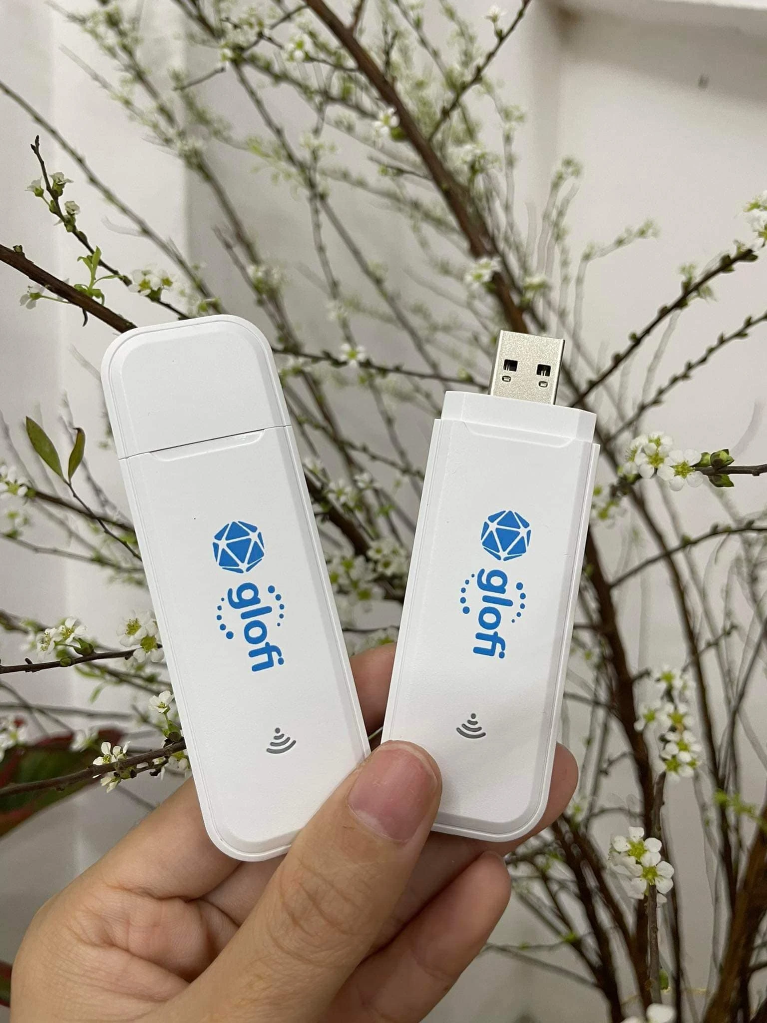 GLOFI F8 4G LTE USB WiFi Modem Router - image 3