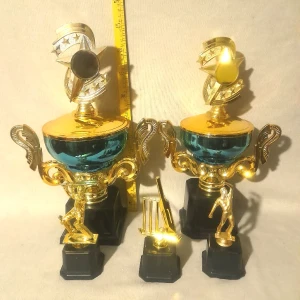 Generic Sports Trophies Set 5-in-1