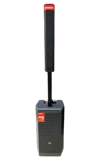 Malata TGTE-M9751 Dual 10 Inch Professional Speaker