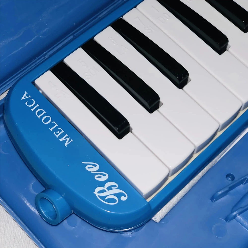 Bee 37 Keys Melodica ABS Case - image 5