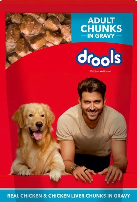 Drools Chicken & Liver Chunks in Gravy Adult Pouch