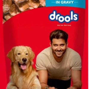 Drools Chicken & Liver Chunks in Gravy Adult Pouch