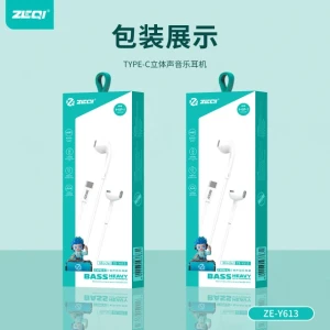 Zeqi ZE-Y613 Deep Bass & Hi-Fi Stereo Type-C Earphones