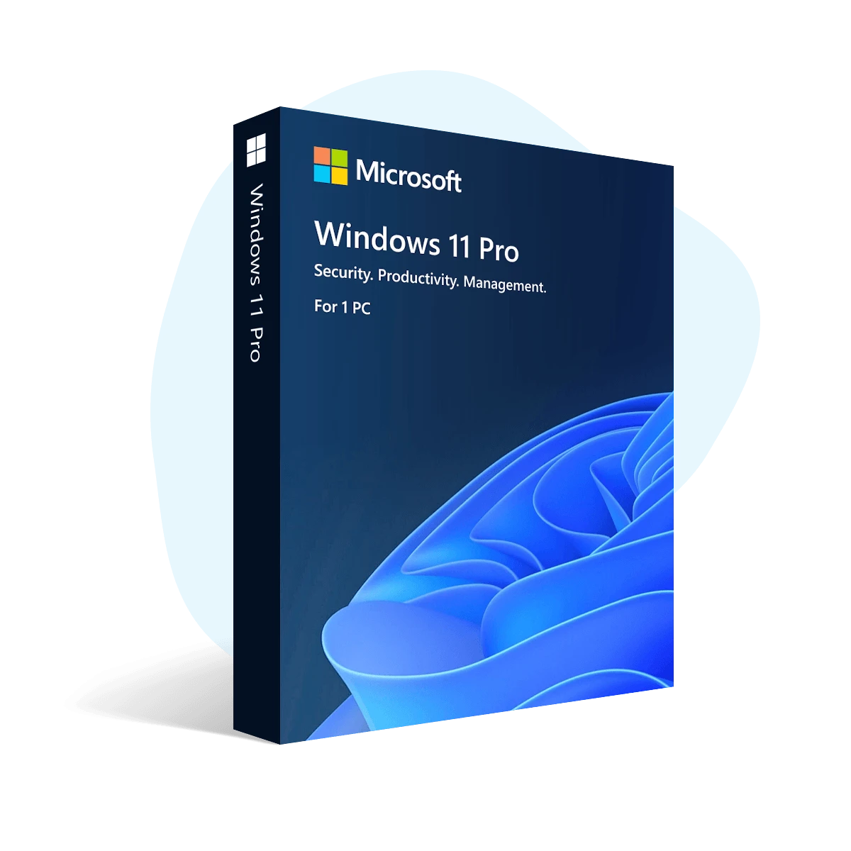 Microsoft Windows 11 Pro Retail License