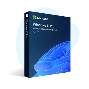 Microsoft Windows 11 Pro OEM License Key