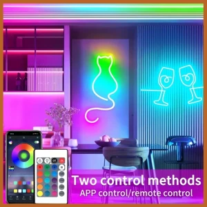 Generic 5M LED Neon Flex RGBIC USB Rope Lights