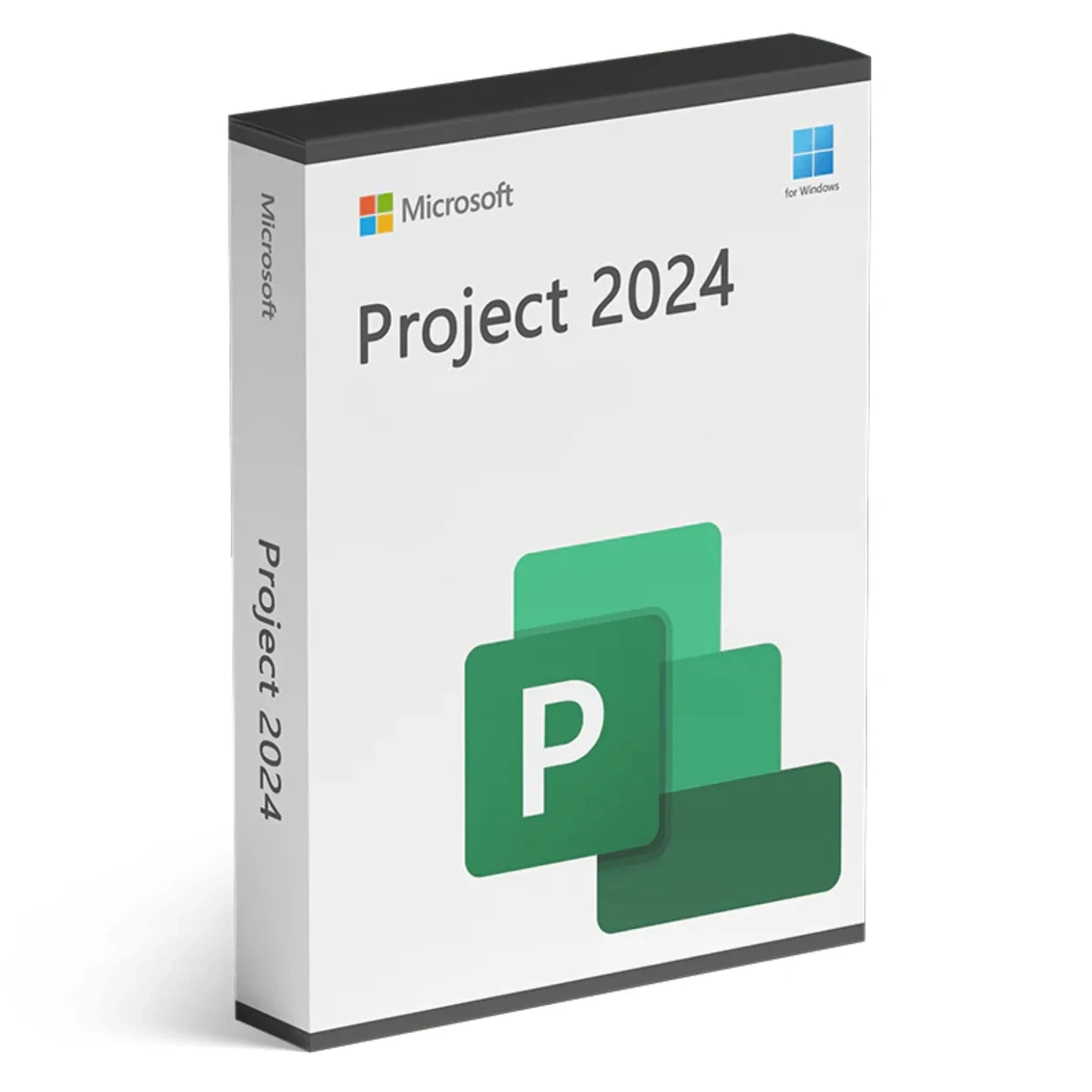Microsoft Project 2024 Standard PC Online
