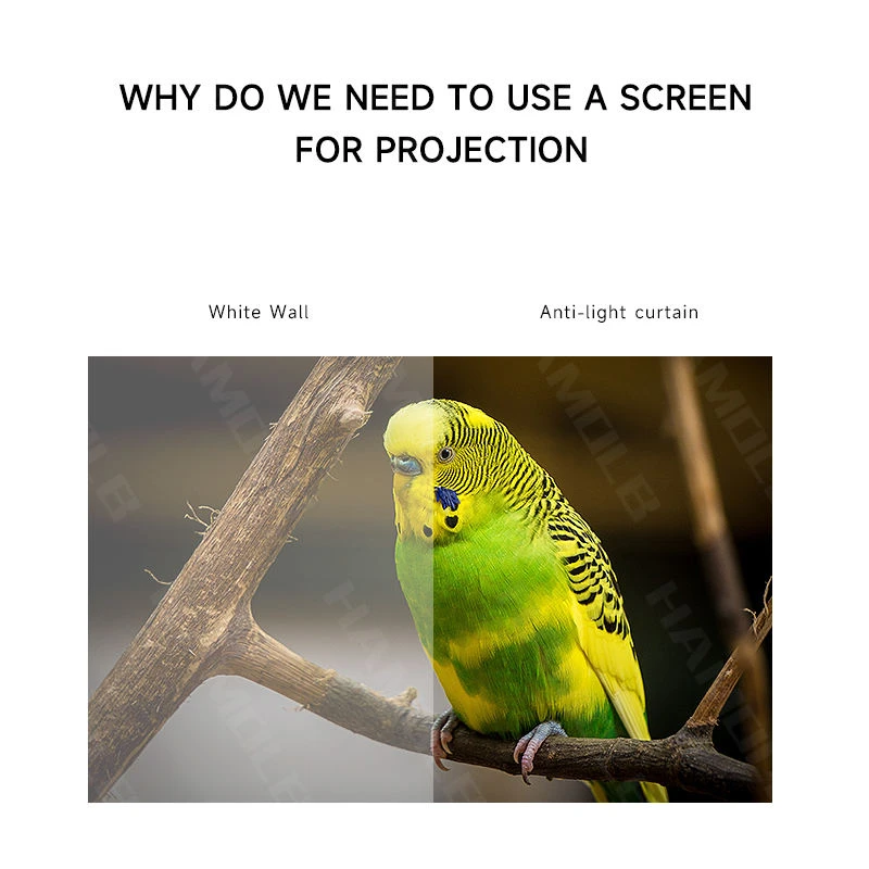 Generic Projector Screen Anti Light Fabric Cloth 133 inches - image 6