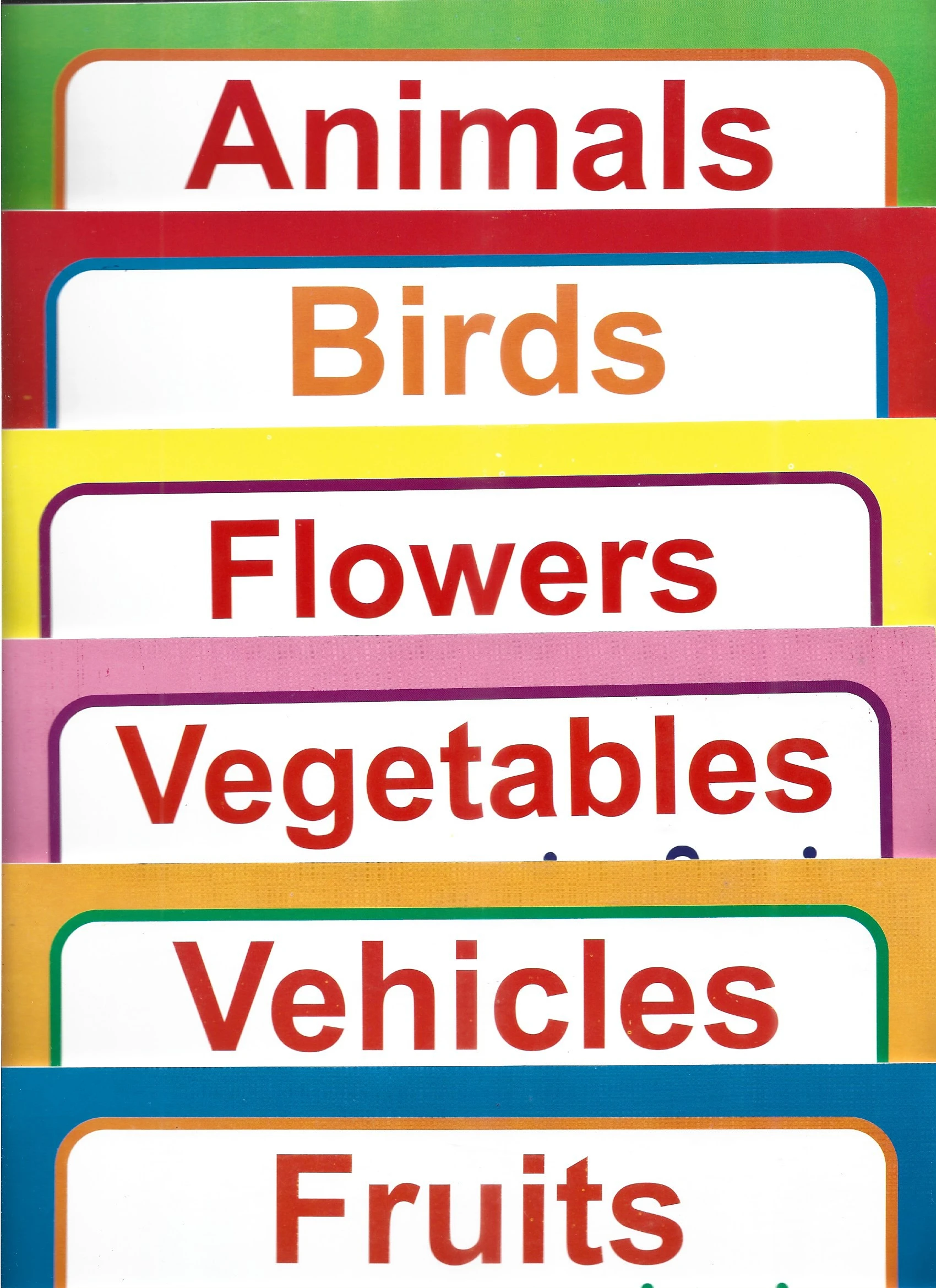 Generic Picture Books Series Trilingual Educational - image 2