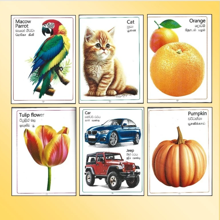 Generic Picture Books Series Trilingual Educational - image 4