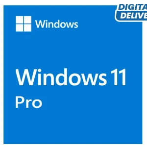 Windows 11 PRO - OEM - Lifetime