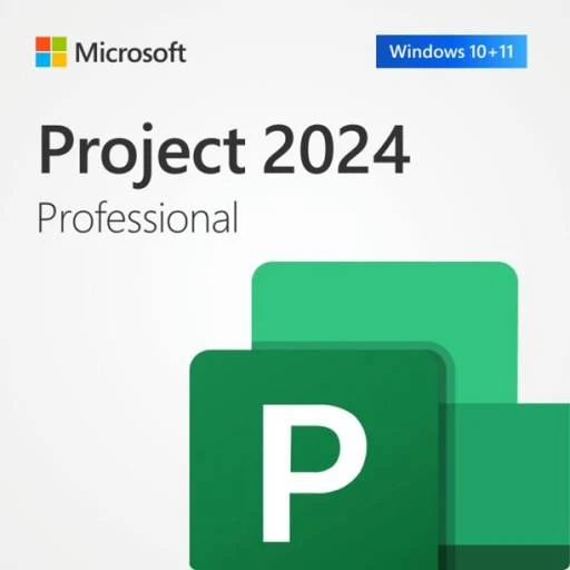 Microsoft Project Pro 2024 Bind to Account - image 2