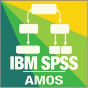IBM SPSS Amos 31 Quantitative Analysis Software Lifetime