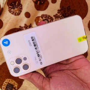 Apple iPhone 12 Pro 256GB Used