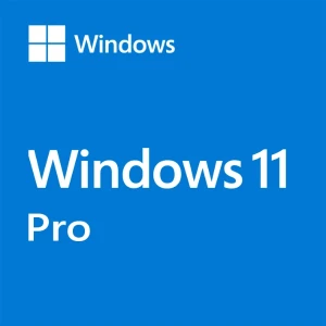 Microsoft Windows 10/11 Pro OEM 5 Devices