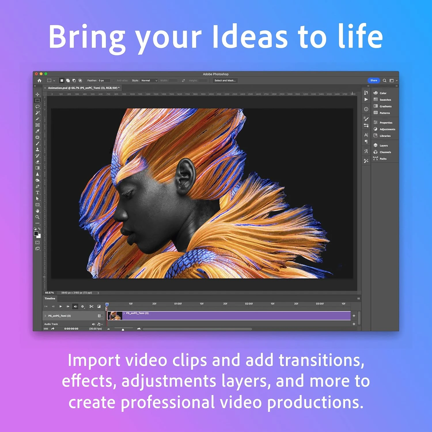 Adobe Photoshop 2026 - image 3