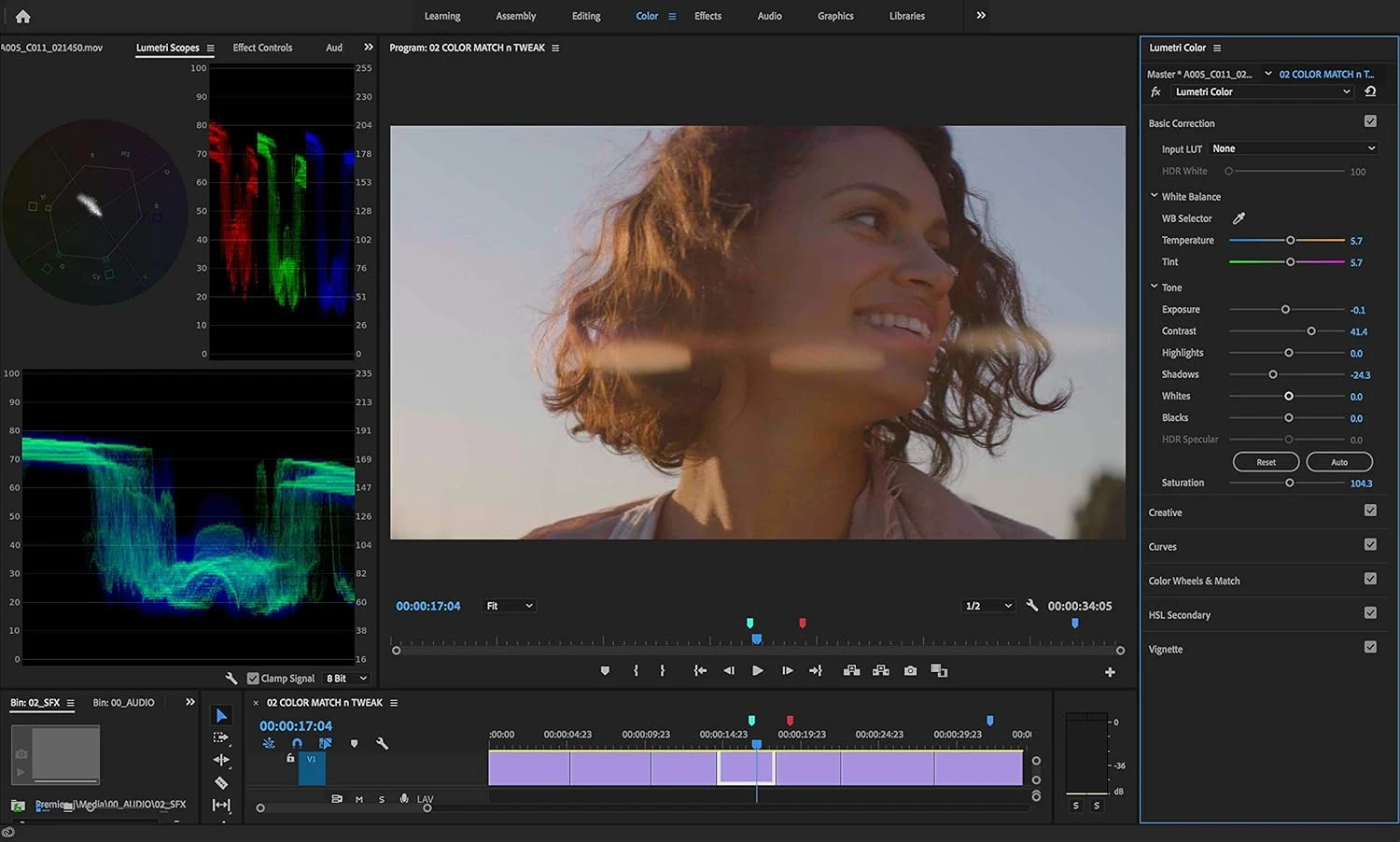 Adobe Premiere Pro 2026 - image 2