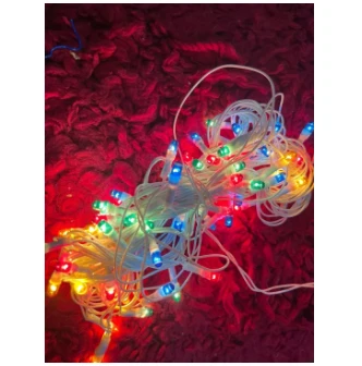 Jelly Type 62 Bulb Light 16ft Christmas/ Vesak /Poson - image 8