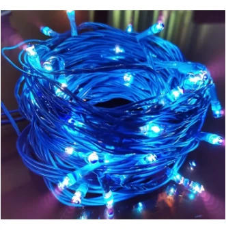 Jelly Type 62 Bulb Light 16ft Christmas/ Vesak /Poson - image 6