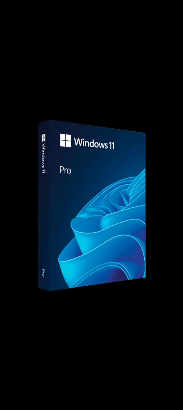 Microsoft Windows 11 Professional Genuine Key