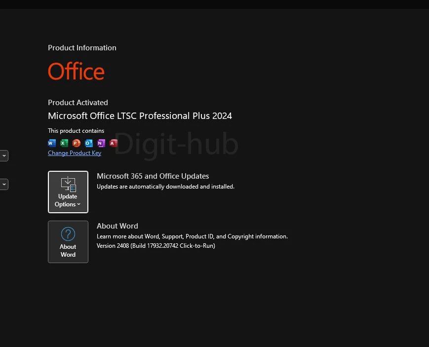 MS office 2024 Pro Plus LTSC Activation key - image 2