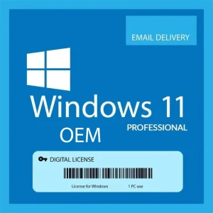 Windows 11 Pro OEM Key Permanent