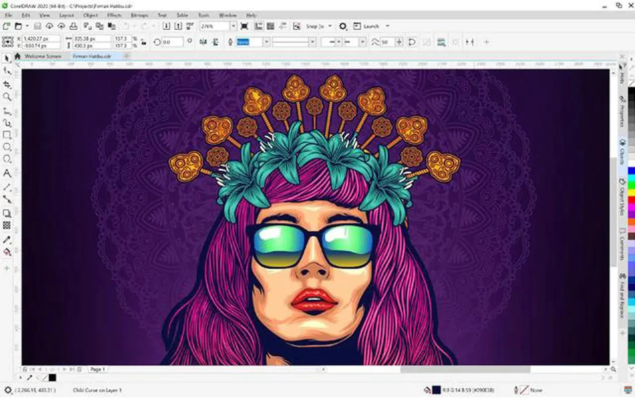 CorelDRAW Graphics Suite 2020  | Genuine Key | Lifetime - image 7