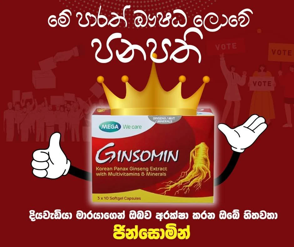 Ginsomin Korean Ginseng with Multivitamins&Minerals 1cap - image 2
