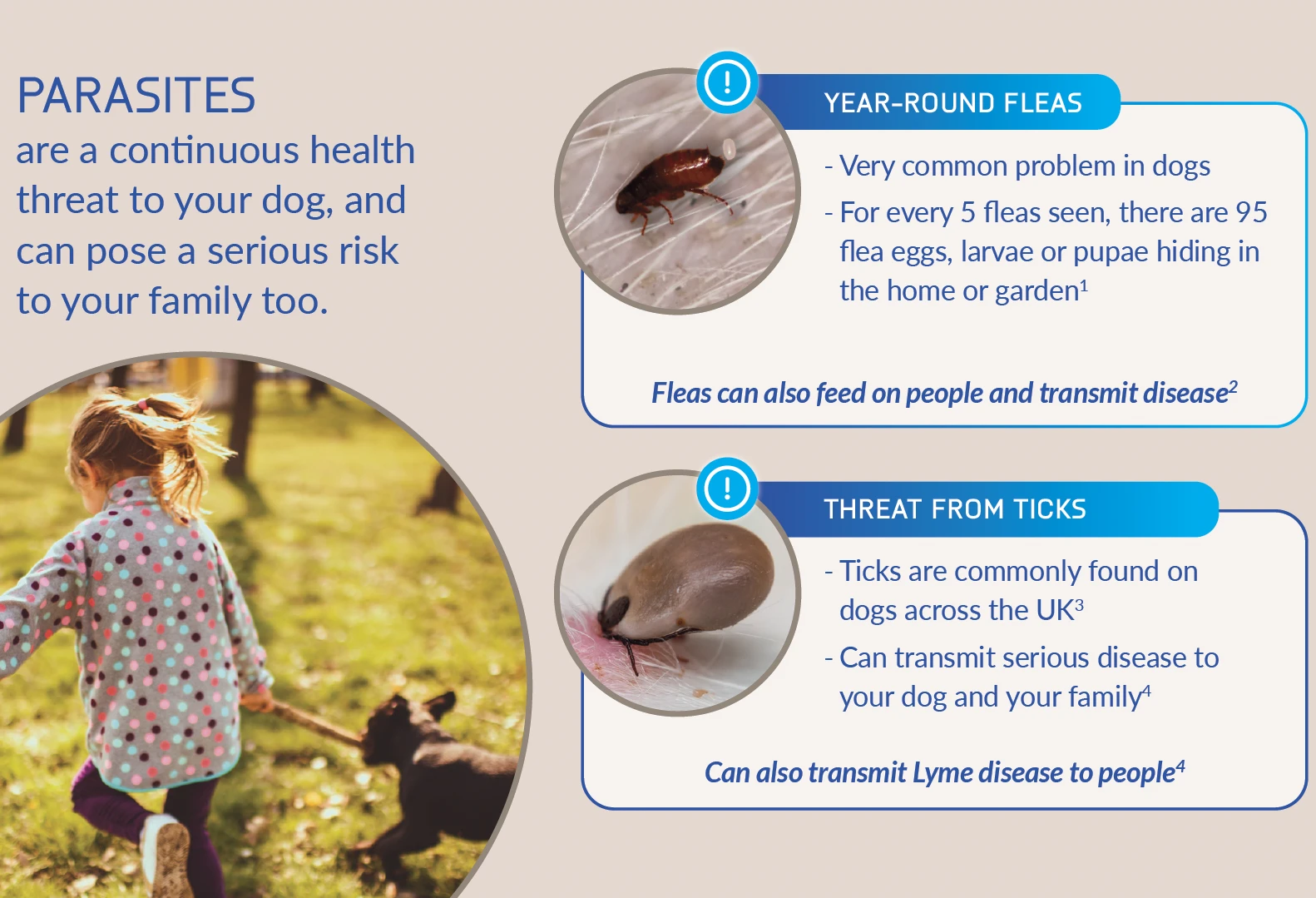 NEXGARD Spectra 150mg (1Tb) for Extra Large 30–60Kg Dogs - image 9
