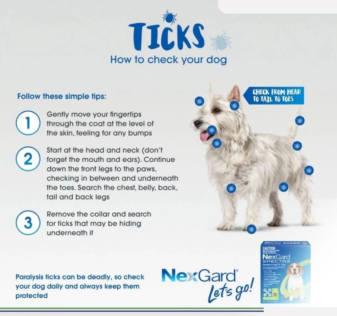 NEXGARD Spectra Chew 38mg (1 Tb) for Medium 7.5-15Kg Dog - image 7