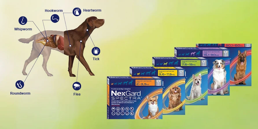 NEXGARD Spectra Chew 75mg (1 Tb) for Large 15-30Kg Dogs - image 13