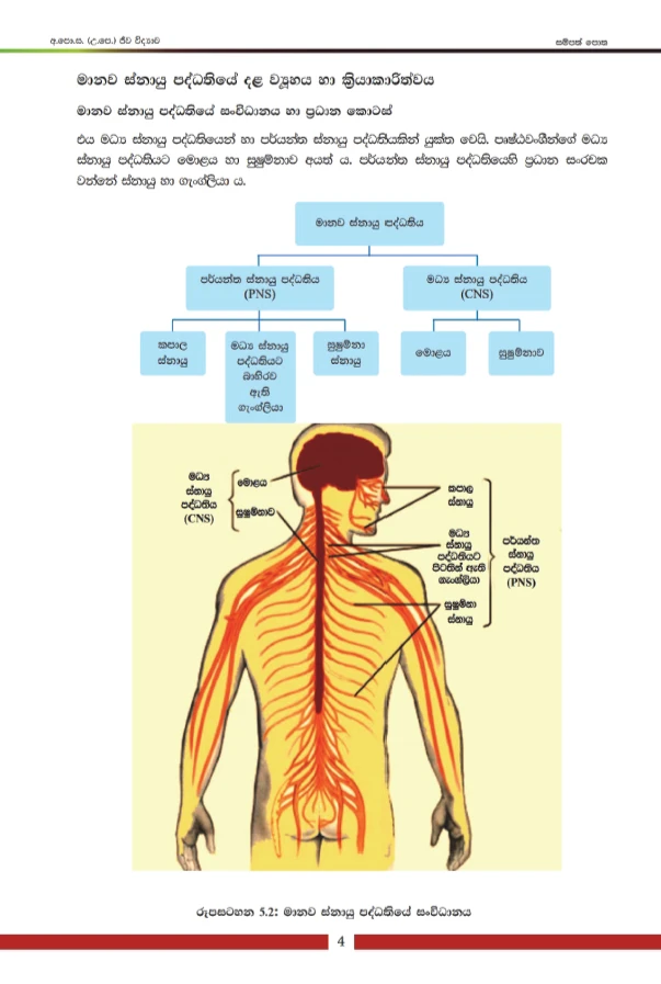 NIE A/L Biology Resource Book (5ii-10) Color - image 5
