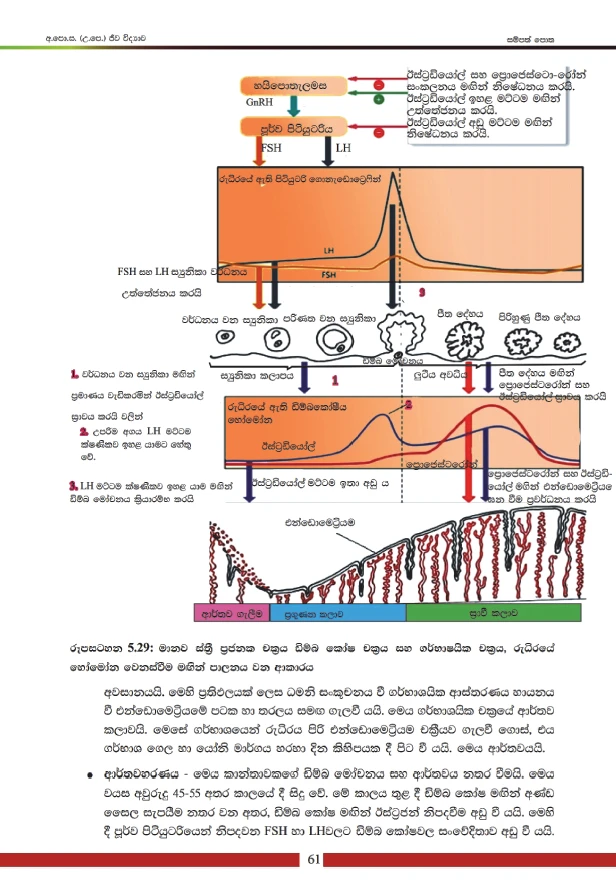 NIE A/L Biology Resource Book (5ii-10) Color - image 6